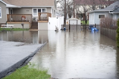 Disaster Recovery 101: Heavy Rains, Wind Damage, and Flooding