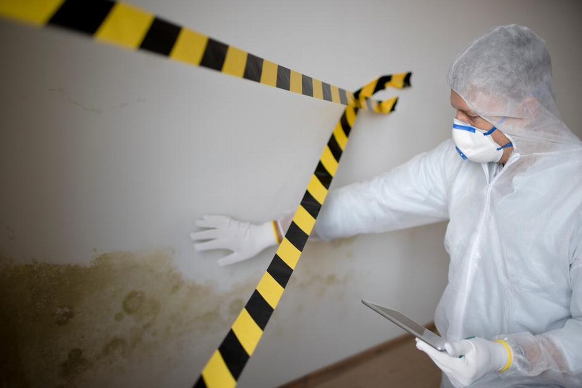What Is Mold Mitigation and Why It Should Be Your First Step