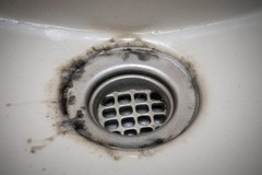 Sink Drain Black Mold: Health Risks Homeowners Should Know