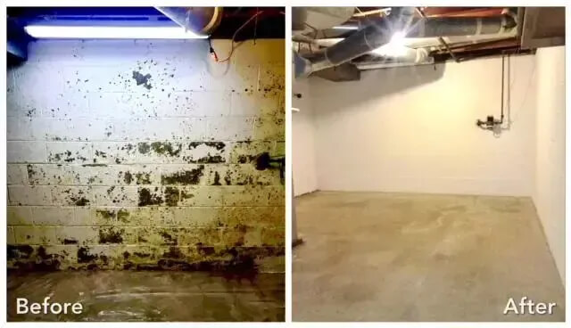 Mold Remediation in Southeast Minnesota and Western Wisconsin