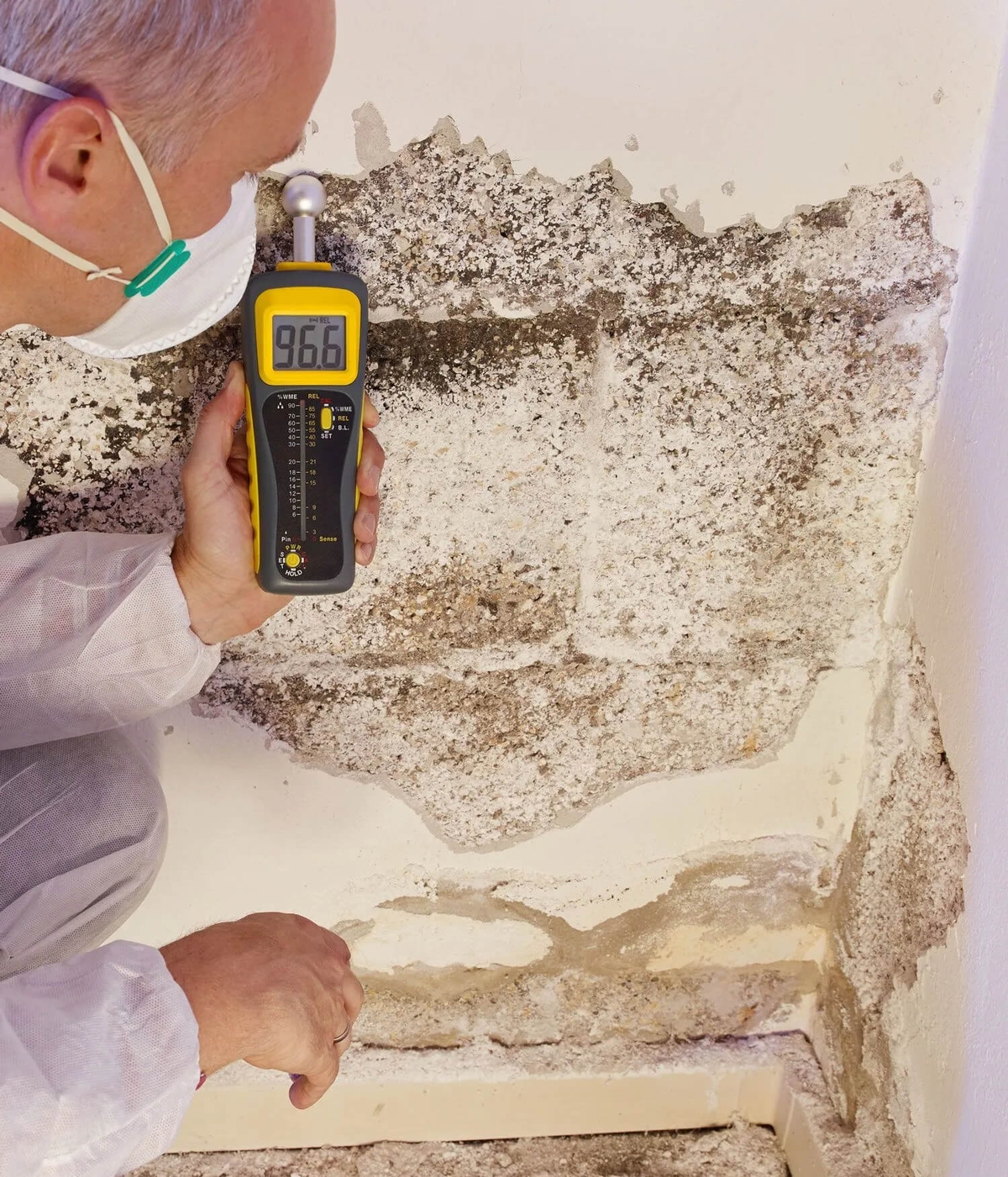 What To Do If You Find Mold In Your Home
