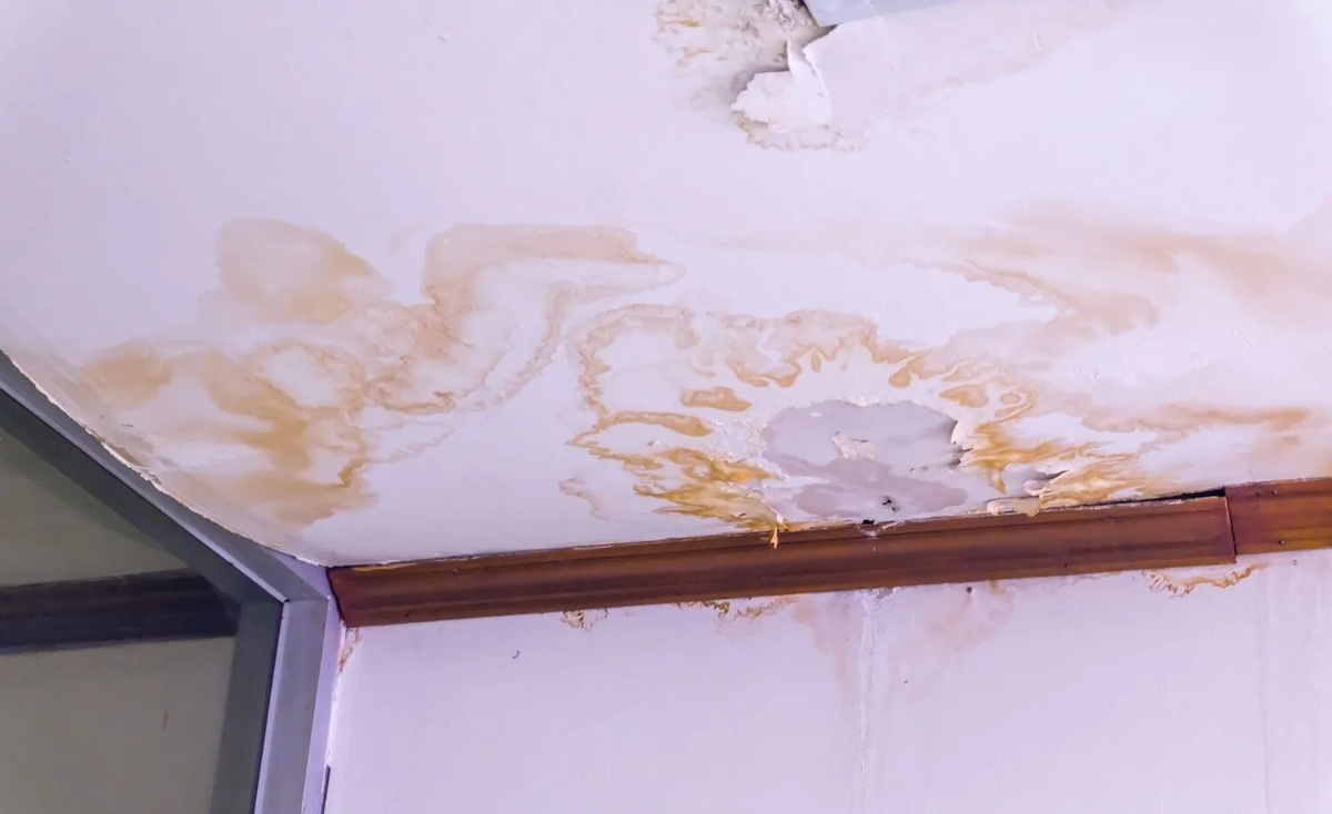 What To Do If Your Attic Has Water Damage