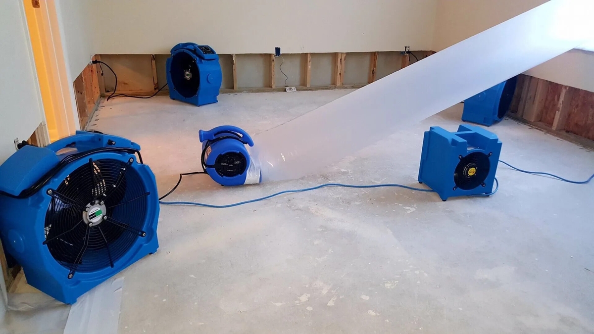 Structural Drying 101: The Basics of Remediation