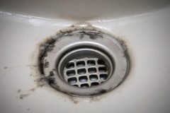 Drain Pipe Trouble: Black Mold Causes and Cleanup Solutions