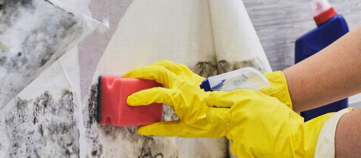 Does Mold Always Grow After Water Damage?