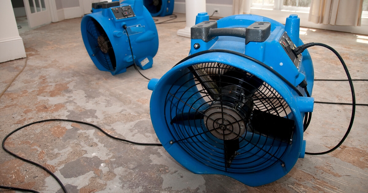 What Happens When Water Damage is Left Untreated?