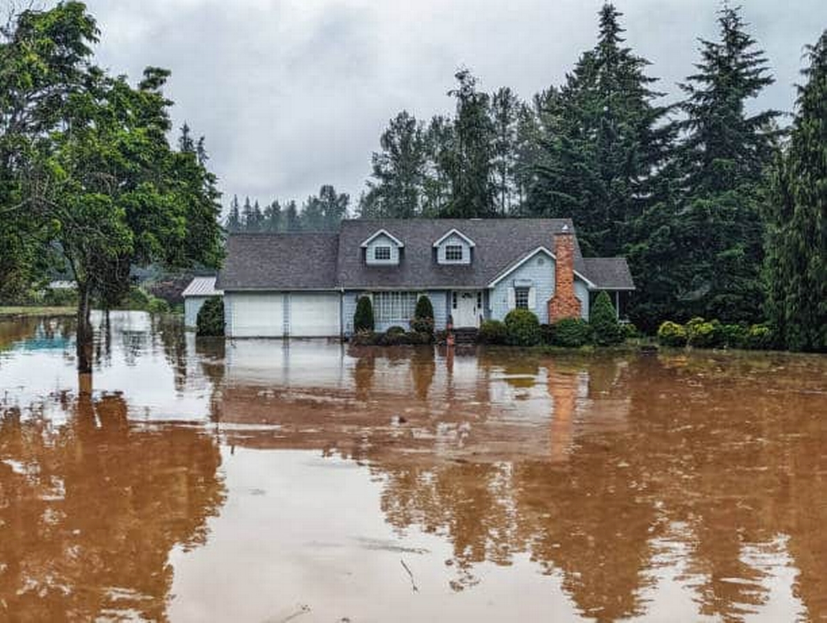 What to Do Immediately After a House Flood: A Homeowner's Guide