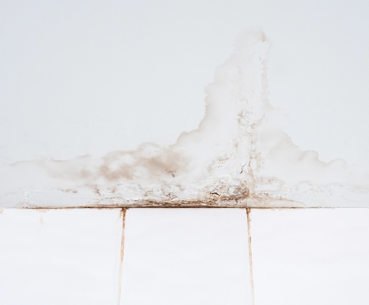 After Water Damage, How Quickly Can Mold Start to Grow?