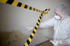 What Mold Levels in Florence Can Tell You About Your Home