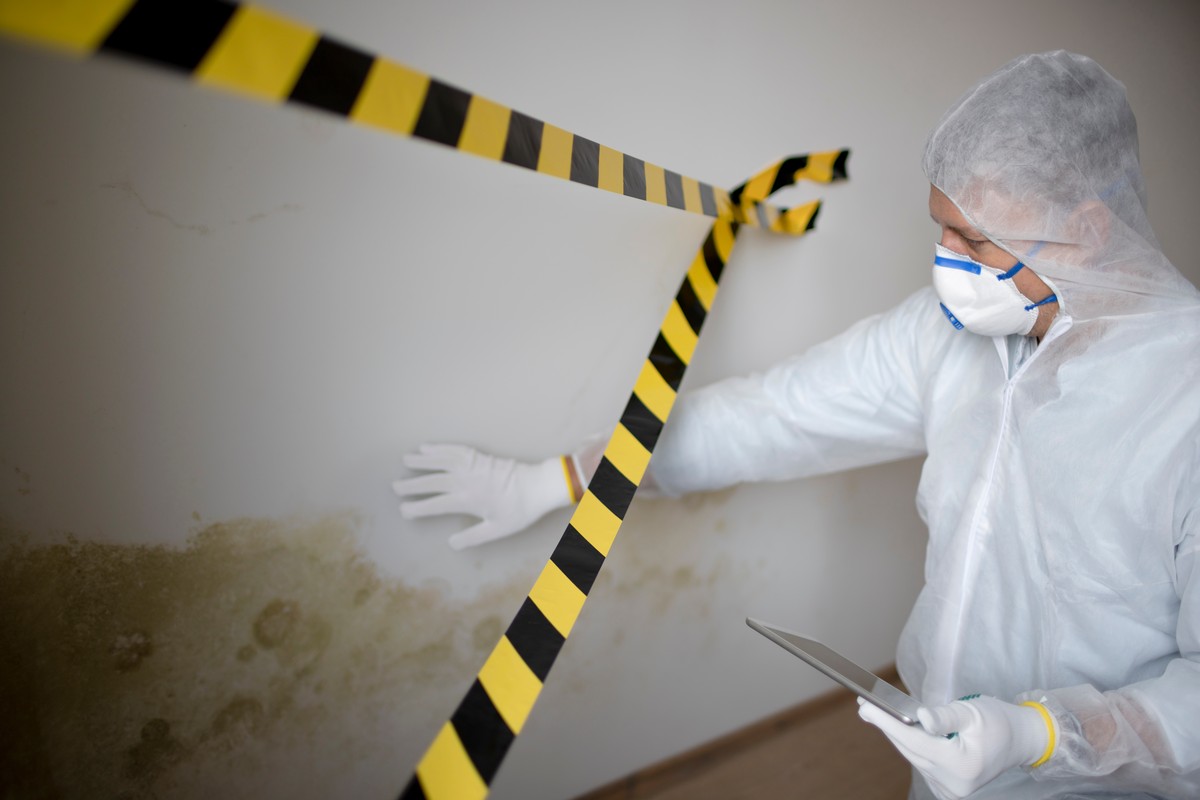 What Mold Levels in Florence Can Tell You About Your Home