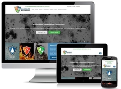 Virtual Vision recently launched a new website for Maximum Restoration