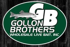 Virtual Vision launches a new website for Gollon Brothers Wholesale Live Bait in Stevens Point