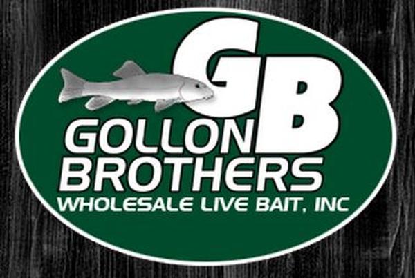 Virtual Vision launches a new website for Gollon Brothers Wholesale Live Bait in Stevens Point