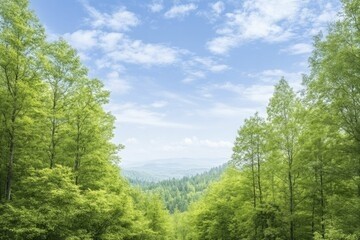 Forests and Ecosystem Preservation: The Role Trees Play