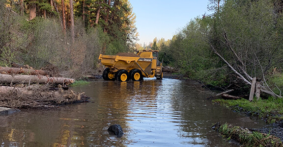 Habitat Restoration