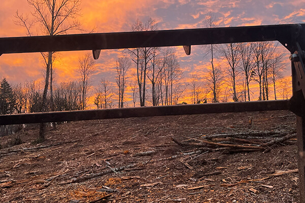 Mastication services at Cooper Mountain Nature Park