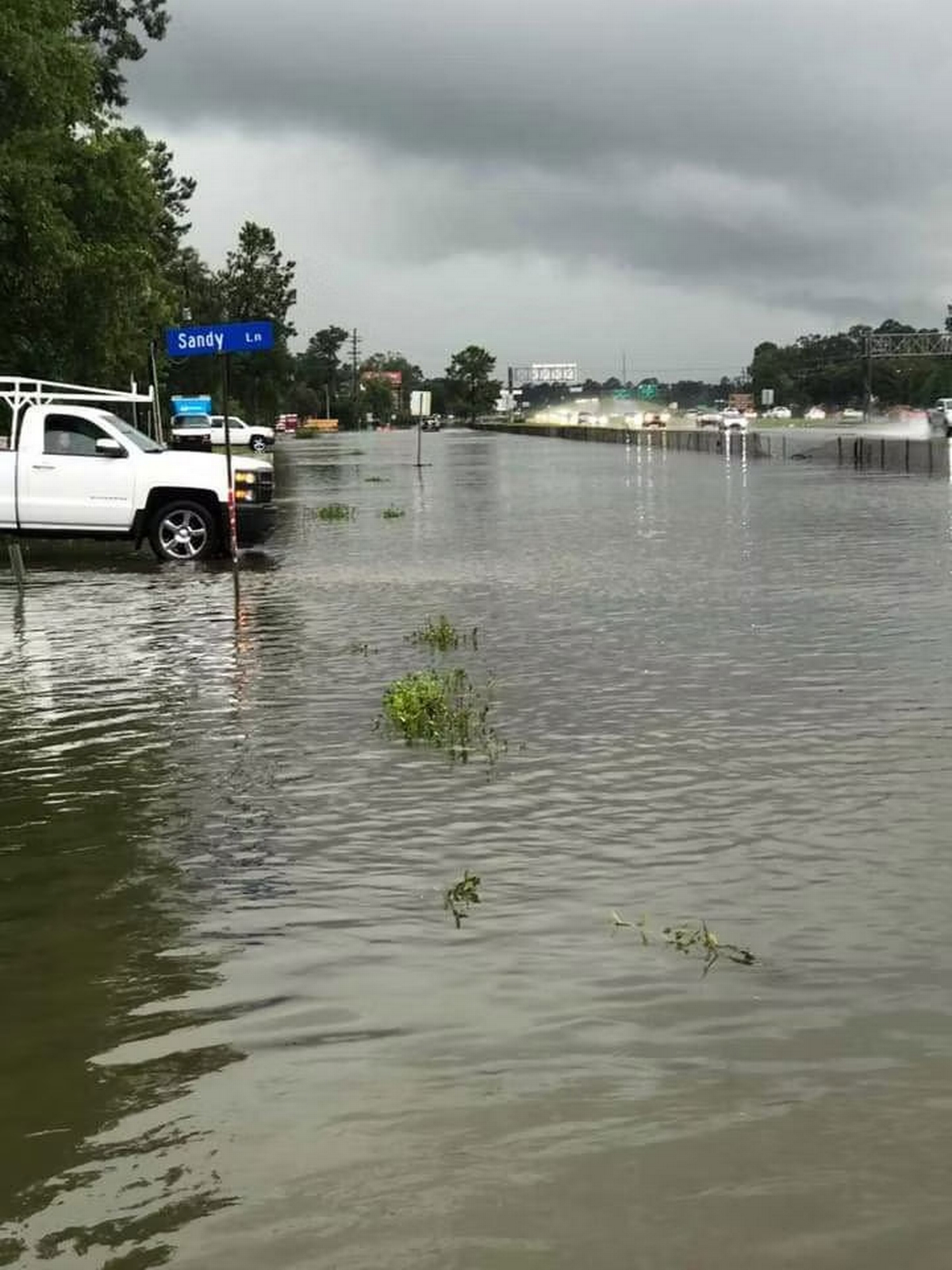 Mandeville Louisiana Flooding July 20 2021 banner
