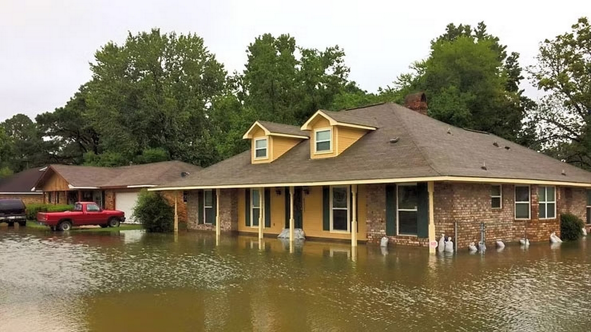 House Flooded? The Do's & Don'ts of What to Do banner